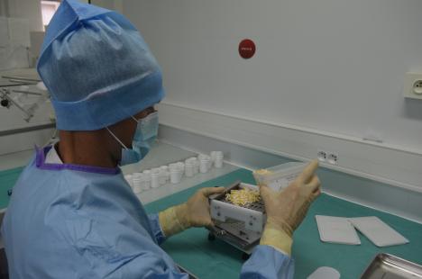 Alexandre Choquet-Bottela prépare des gélules