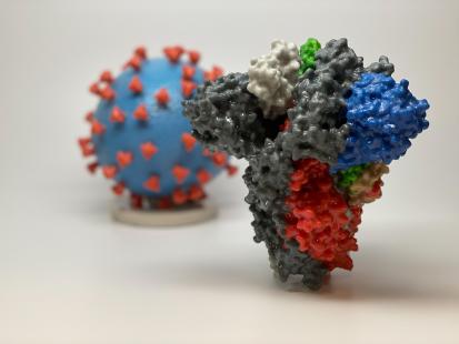 Impression 3D d'une protéine de pointe à la surface du SARS-CoV-2 