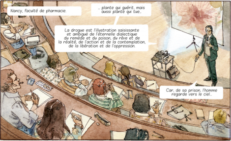 Des couleurs qui alternent entre le végétal et le minéral