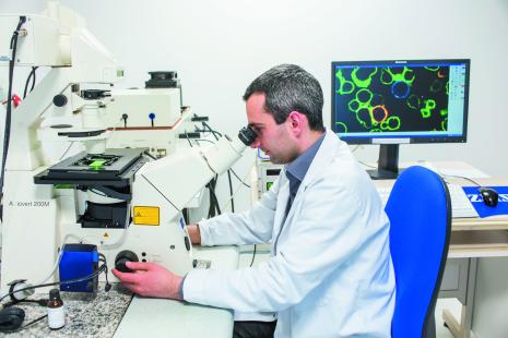 Les microARN sont des petites molécules d’une vingtaine de bases, accompagnées d’un brin d’ARN complémentaire, capable d’interagir avec l’ARN messager