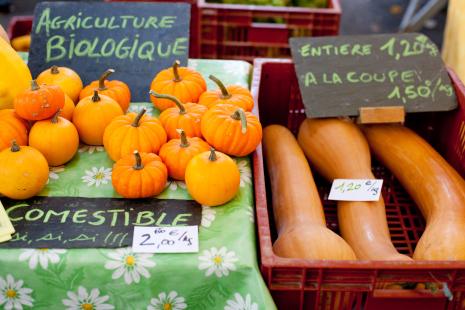 La saison des courges bat son plein d'octobre à décembre