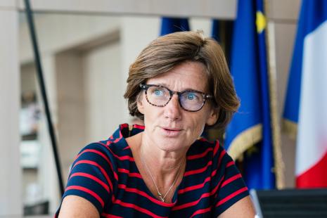 Agnès Firmin Le Bodo