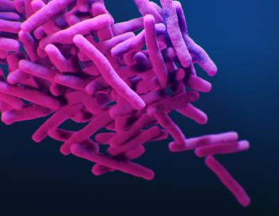 L’oxadiazole cible le système de sécrétion ESX-1 tout en agissant comme un booster de l’antibiotique éthionamide
