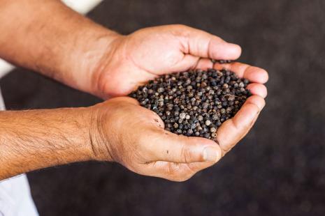 Le poivre aide à stimuler la production d'acide gastrique ce qui peut être bénéfique pour la digestion