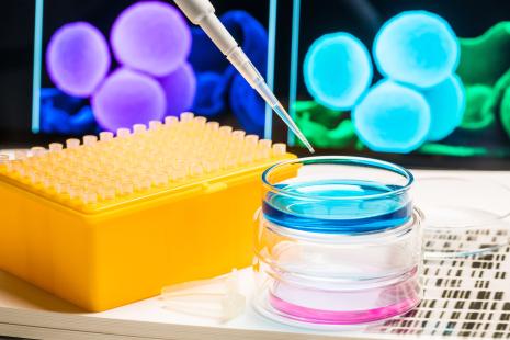 Les nanotechnologies pourraient être un nouveau recours contre le développement de l’antibiorésistance