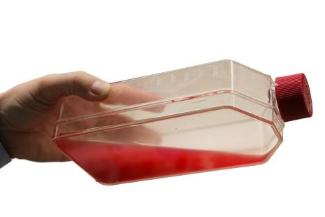 Production in vitro de globules rouges (sang artificiel) humains matures et fonctionnels à partir de cellules souches sanguines