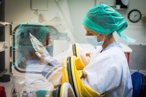 Les tumeurs de l’endomètre dMMR/MSI-H sont particulièrement sensibles à l’immunothérapie