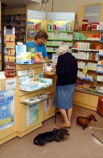 Un marché à très fort potentiel
