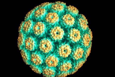 Efficace surtout contre les HPV de types 16 et 18