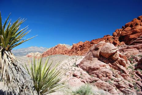 Le Red Rock Canyon