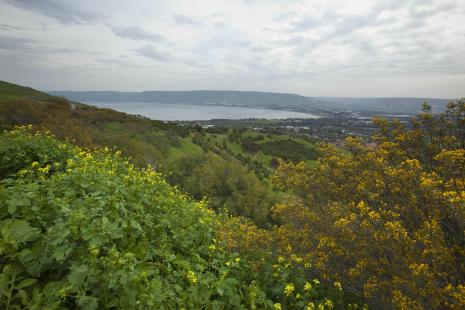Vue sur le lac de Tibériade