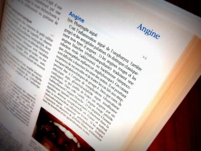 Un champ lexical à bien maîtriser