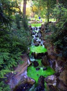 Fontaines et ruisseaux aux couleurs de la pharmacie