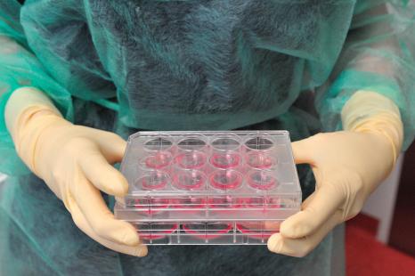 Neuf enfants dans sept hôpitaux ont bénéficié de la thérapie