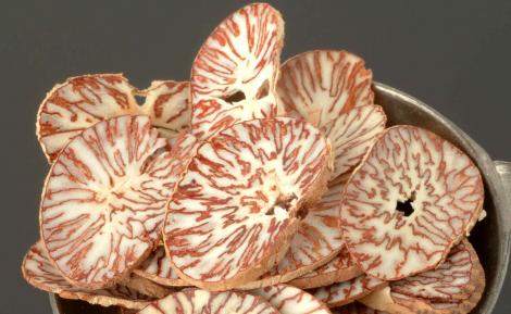 La noix de bétel est la quatrième drogue consommée dans le monde