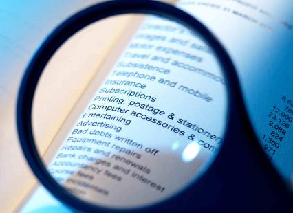 Certains aspects méritent d'être examinés à la loupe