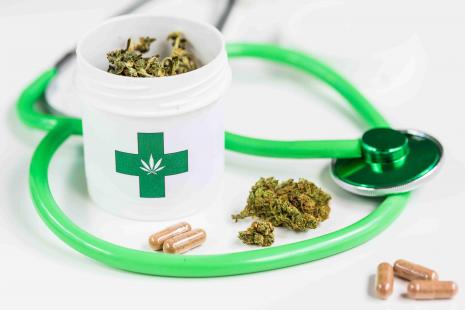 L’État hébreu est en passe de devenir un " canna-hub » mondial