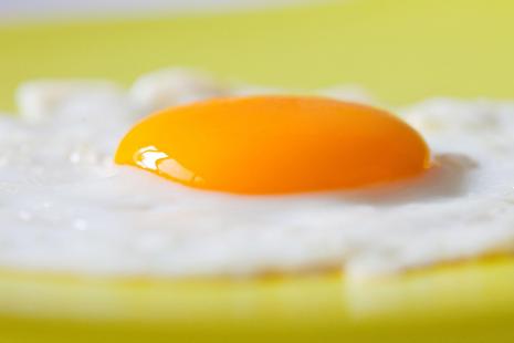 L’origine de l’effet de satiété produit par l’oeuf est élucidé