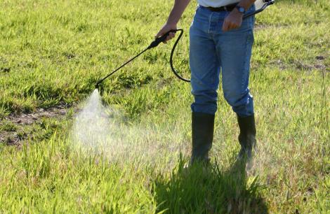 Pesticide