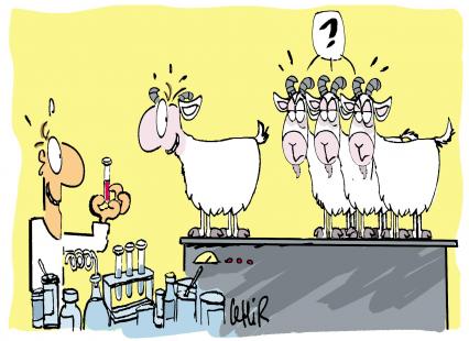 dessin