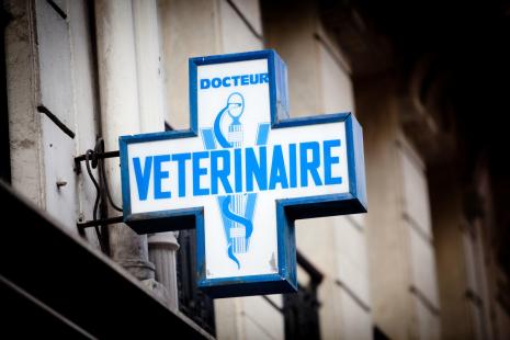 Vétérinaire