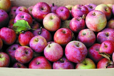 pommes