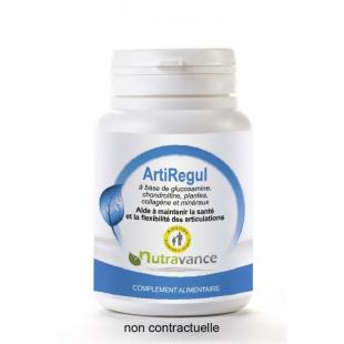 Artiregul