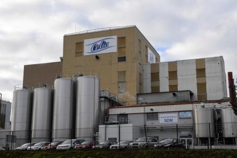 Lactalis