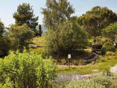 jardin