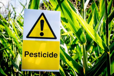 Pesticide