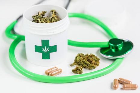 Cannabis