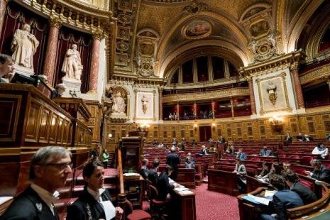 senat