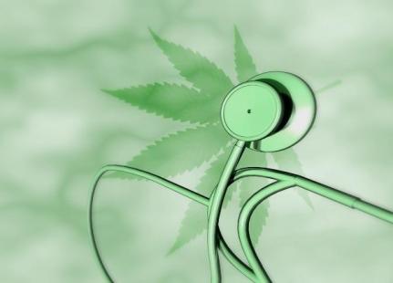 cannabis