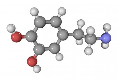 dopamine