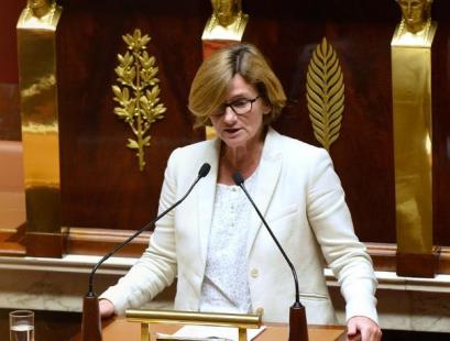 Agnès Firmin le bodo