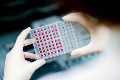 Cart-T cells