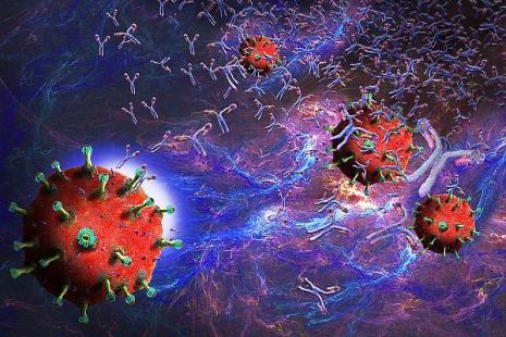 coronavirus