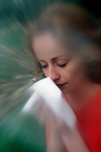 La phase de dégranulation des mastocytes génère la réaction allergique