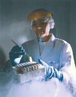 L’origine biologique des matières premières complique les procédures de fabrication