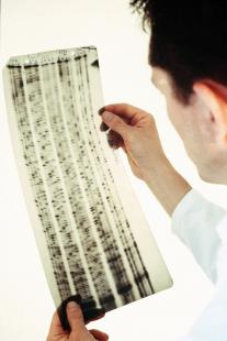 L'étude de l'ADN est à manier avec précautions