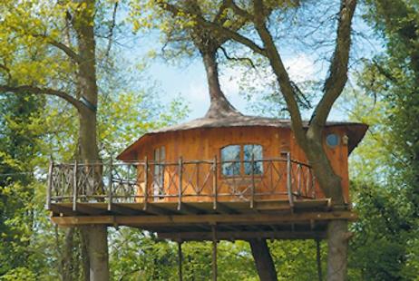 Des cabanes dans les arbres en Picardie