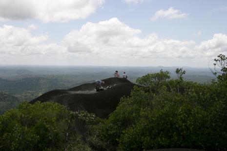 Une occasion unique de découvrir la forêt guyanaise