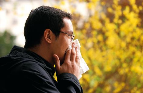 Les HE ont un pouvoir bactéricide reconnu





rhume homme malade mouchoir allergie
