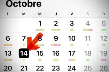 Grippe, Covid : la campagne vaccinale démarre le 14 octobre