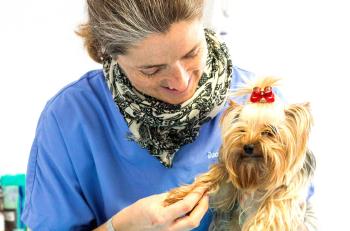 La sécheresse cutanée existe-t-elle aussi chez l’animal ? 