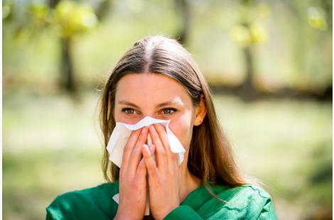 Une expérimentation à l'officine pour la rhinite allergique